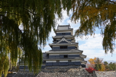 秋の松本城