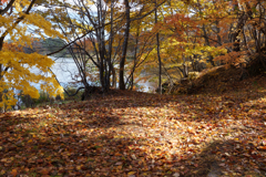 秋の大沼国定公園
