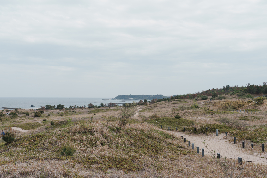 荒涼とした海岸