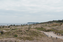 荒涼とした海岸