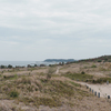 荒涼とした海岸