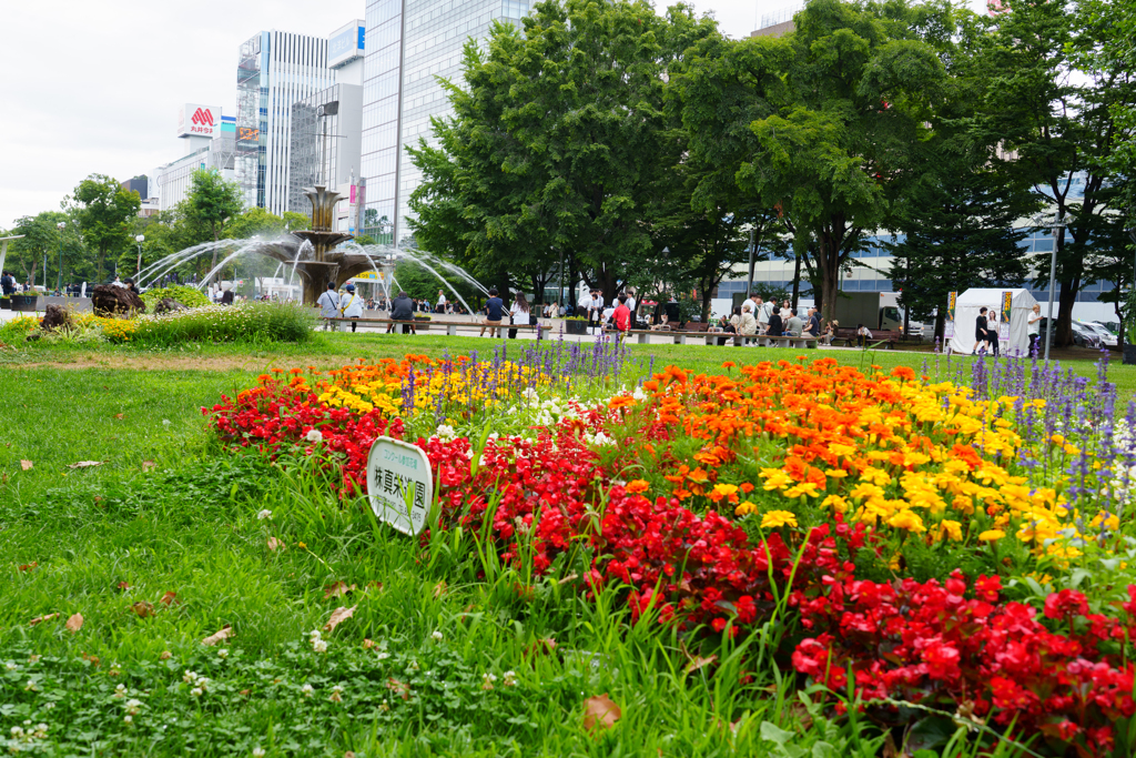 夏の大通公園