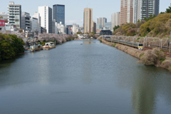 春の外堀