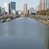 春の外堀
