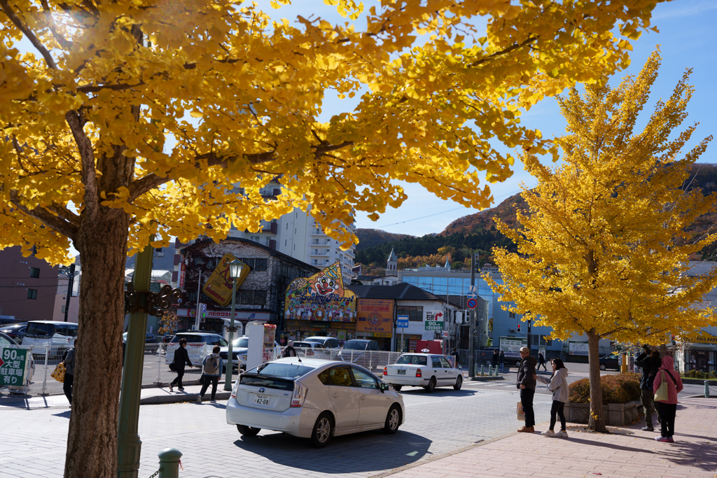 函館市街の黄葉