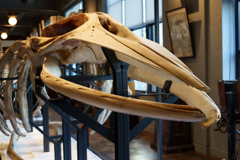 丸の内の博物館