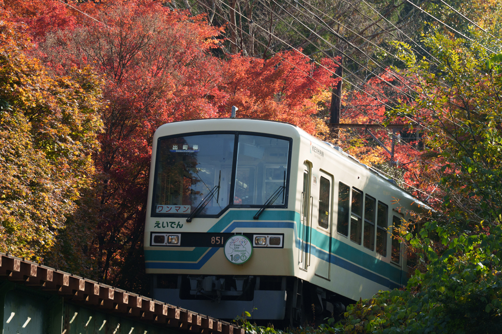 秋の叡山電車