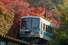 秋の叡山電車