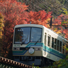 秋の叡山電車