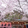 春の露店