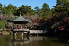 秋の成田山公園