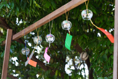 6月の円覚寺
