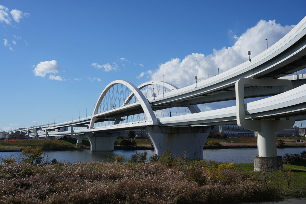 冬の五色桜大橋