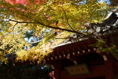 秋の本土寺