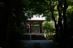 6月の円覚寺