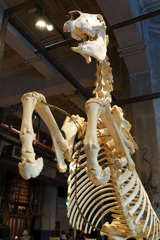 丸の内の博物館