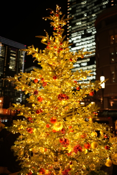 丸の内イルミネーション