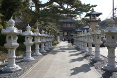 誕生寺