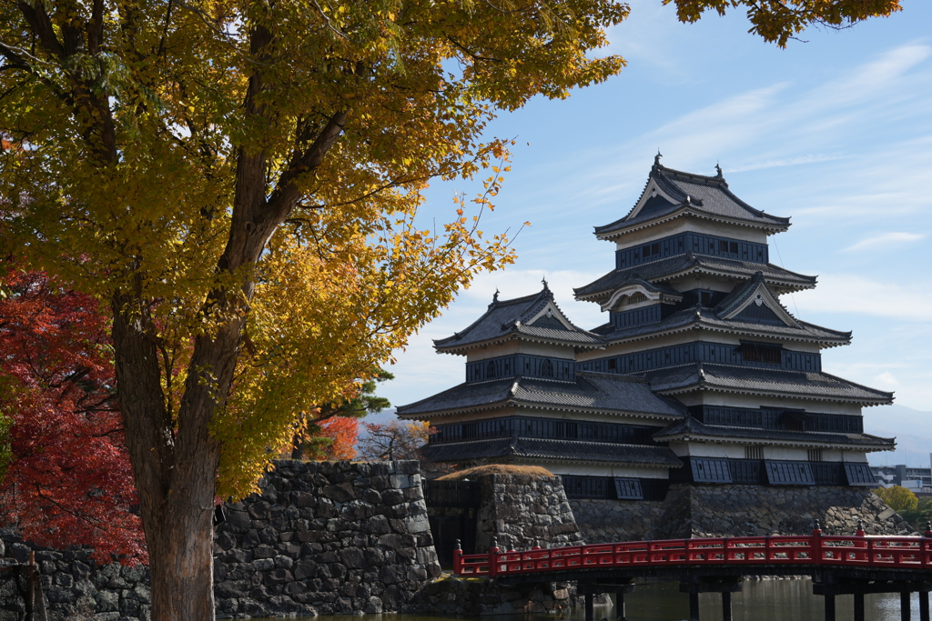 秋の松本城