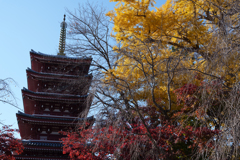 秋の本土寺