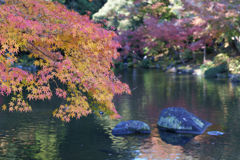 秋の成田山公園