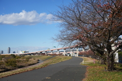冬の荒川