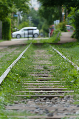 夏の手宮線廃線の路