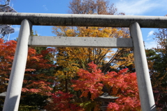 秋の四柱神社