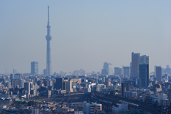 スカイツリーとE2系