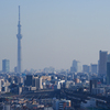 スカイツリーとE2系