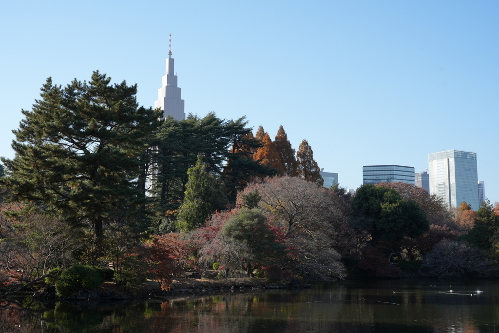 秋の新宿御苑