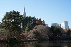 秋の新宿御苑