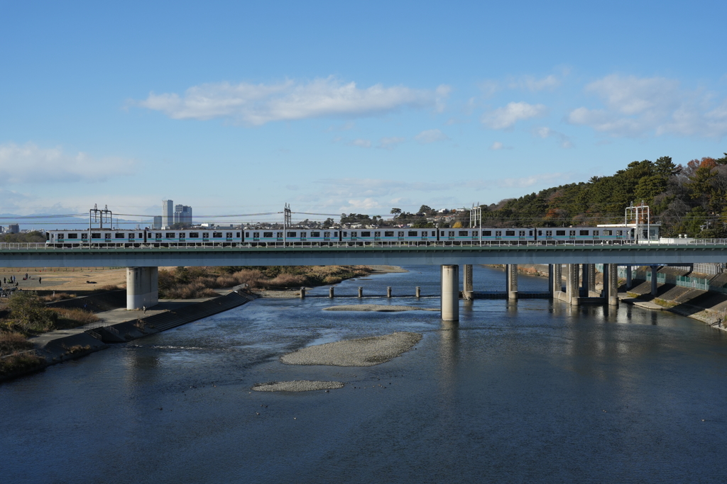 冬の多摩川