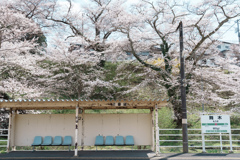 春の磐越東線舞木駅