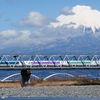 富士山と新幹線