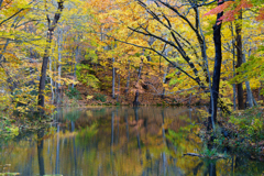 秋の大沼国定公園