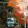 秋の叡山電車