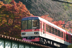 秋の叡山電車