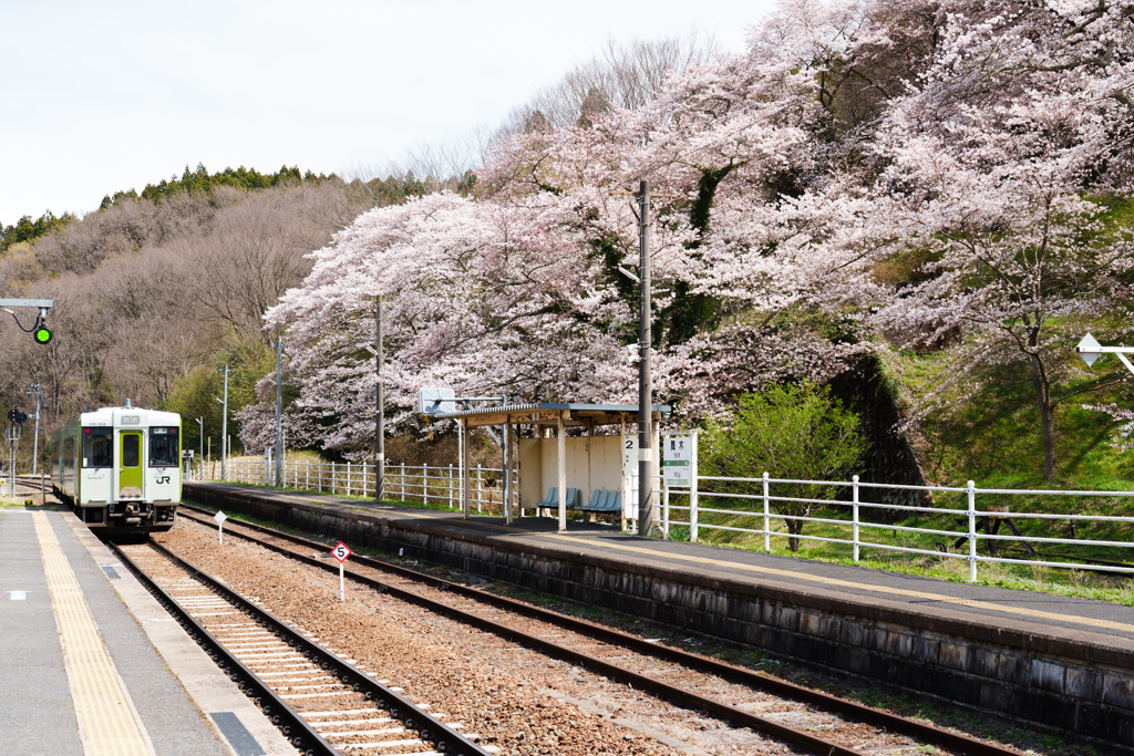 春の磐越東線舞木駅