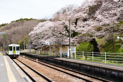 春の磐越東線舞木駅