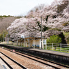 春の磐越東線舞木駅