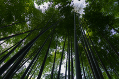 明月院にて