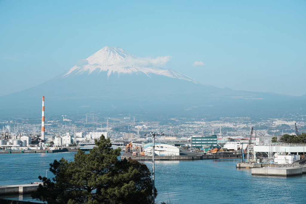田子の浦の富士山
