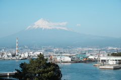 田子の浦の富士山