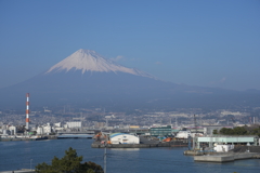 田子の浦の富士山