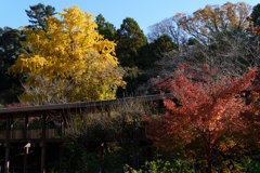 秋の本土寺