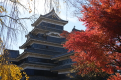 秋の松本城
