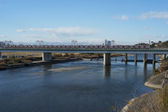 冬の多摩川