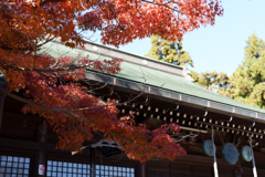 秋の本土寺