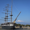 田子の浦の富士山